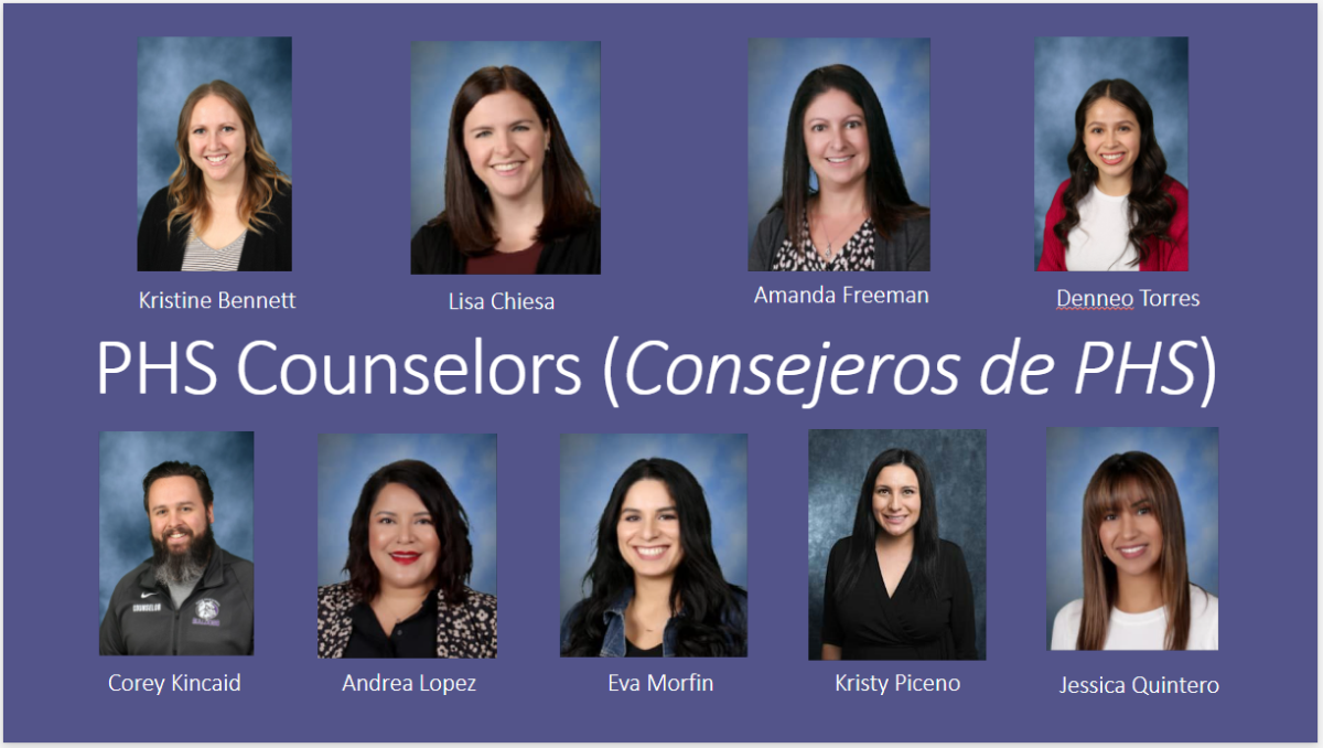 2024-2025 Counselor Information