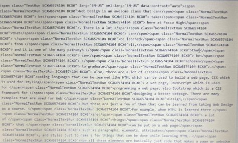 Web Design