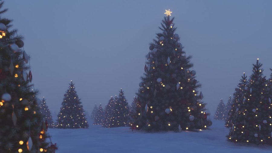 Outdoors Christmas trees at night. 3D generated image.