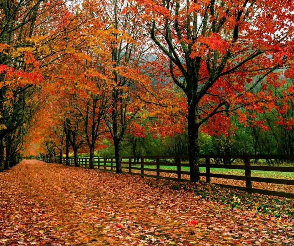 Places+to+visit+in+Washington+during+fall+season.
