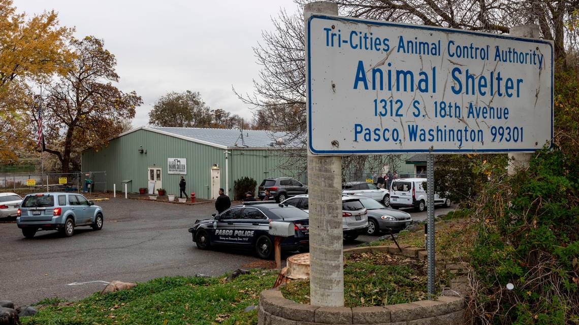 Tri cities animals shelter post raid 