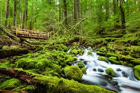 Best Places to Travel this Summer in Washington
