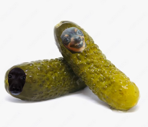 Why are Pickles Controversial?