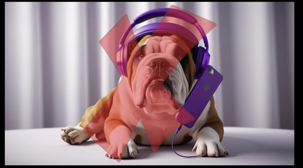 Students & Teachers Opinion about the Phone Policy