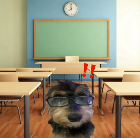 What Teachers Wish Students Knew