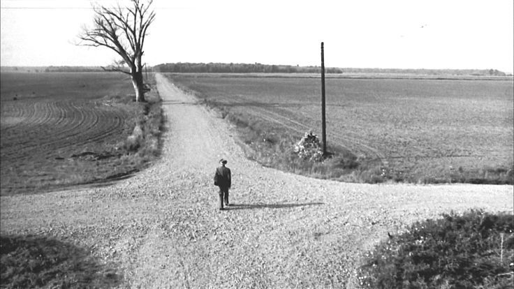 Is Life Already Written or Are We Holding the Pen?