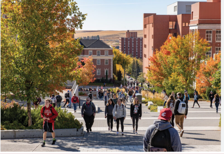 The Best Universities In Washington