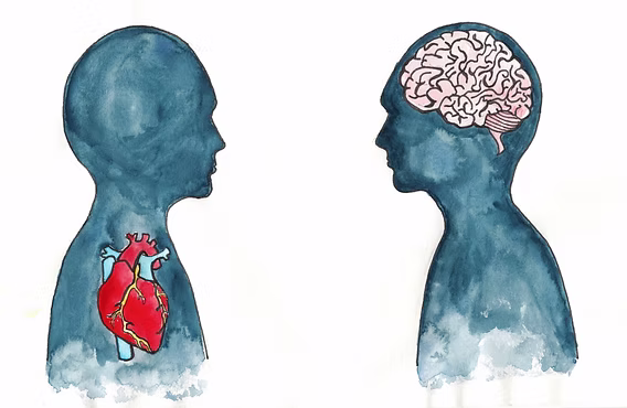 Mental and Physical Health Cost of High School Pressure/Stress