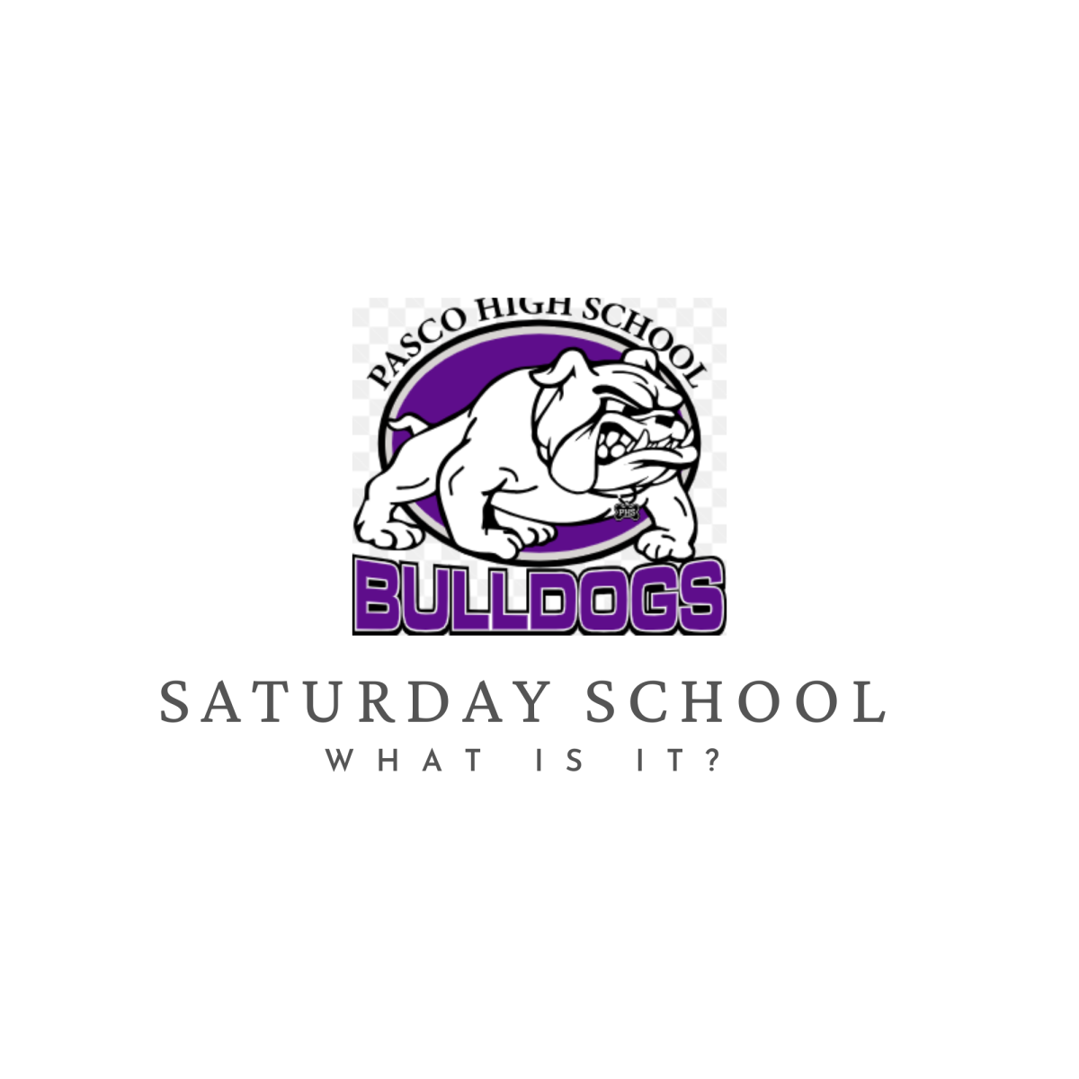 Saturday School