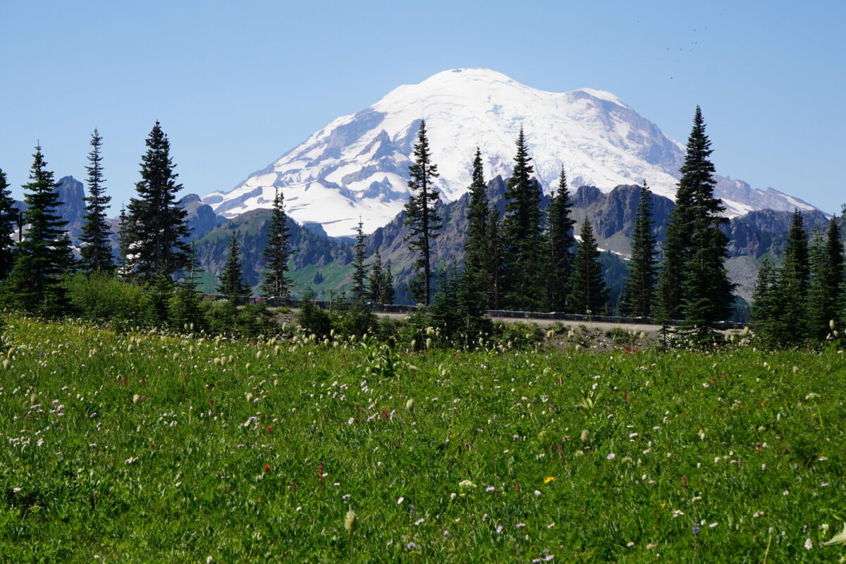 Top 3 Best National Park According To PHS Students